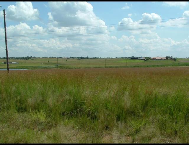 LAND FOR SALE IN THREE RIVERS